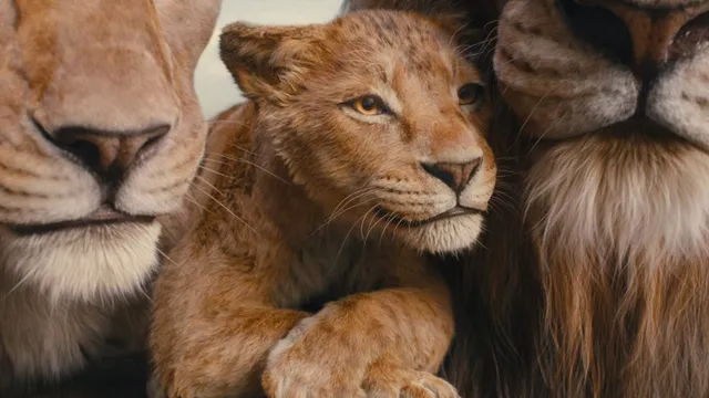 mufasa-the-lion-king-ott-release-blockbuster-drama-movie-is-streaming-on-disney-plus-hotstar