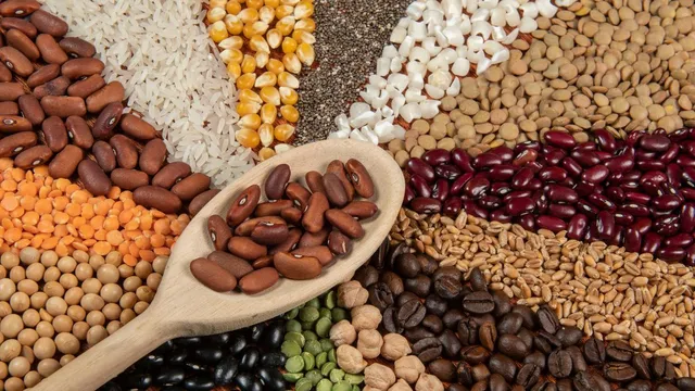3-simple-tips-to-protect-your-pulses-and-grains-from-insects-know-from-nutritionist