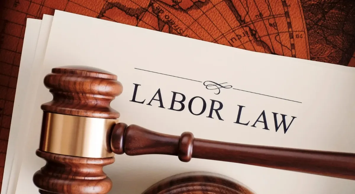 top-countries-with-best-labour-laws-worldwide-to-promote-work-life-balance-france-germany-and-more