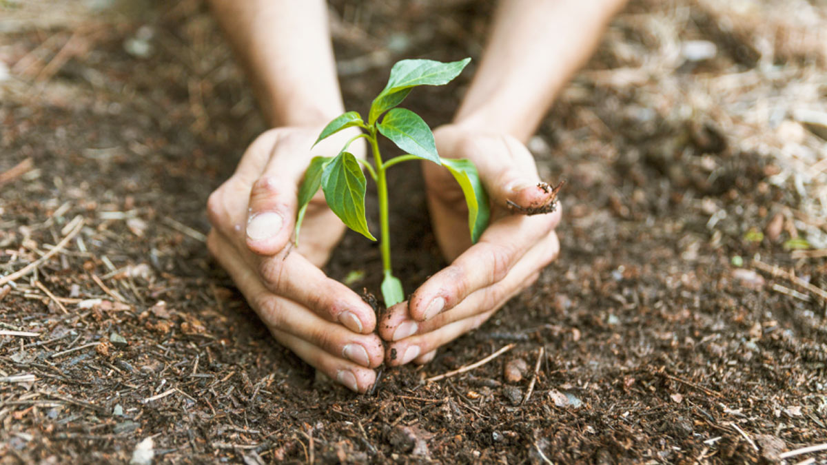 EnvironmentConservation