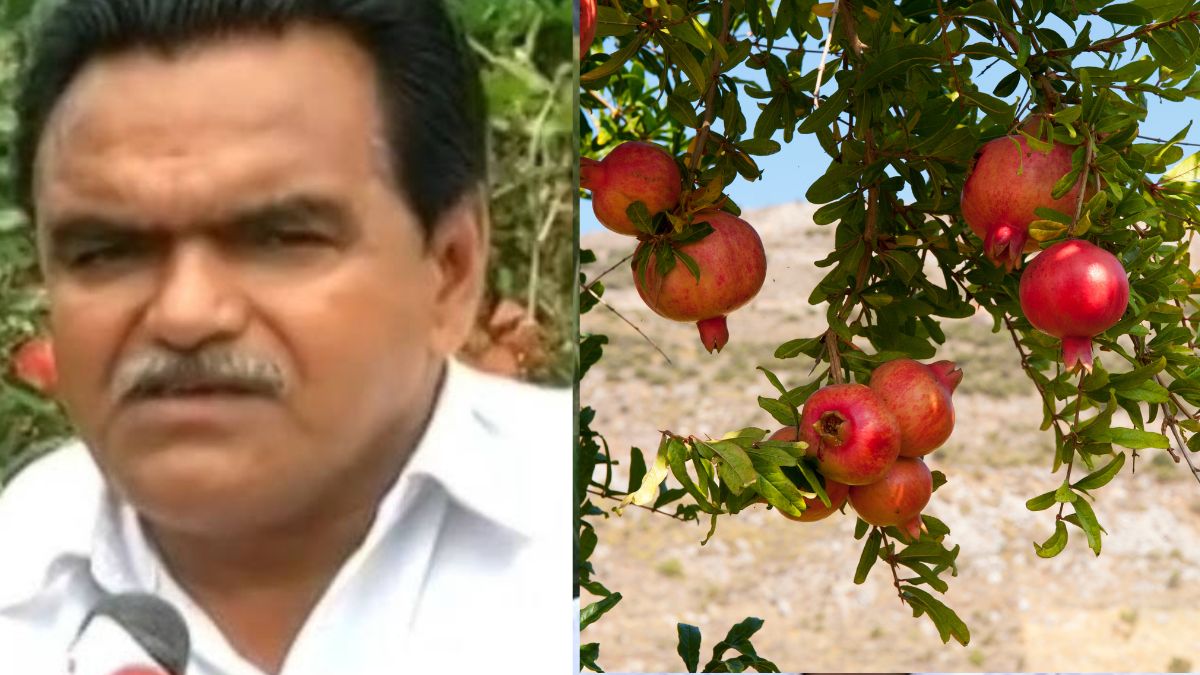 Richest Farmers of india 1 Geena Bhai Patel