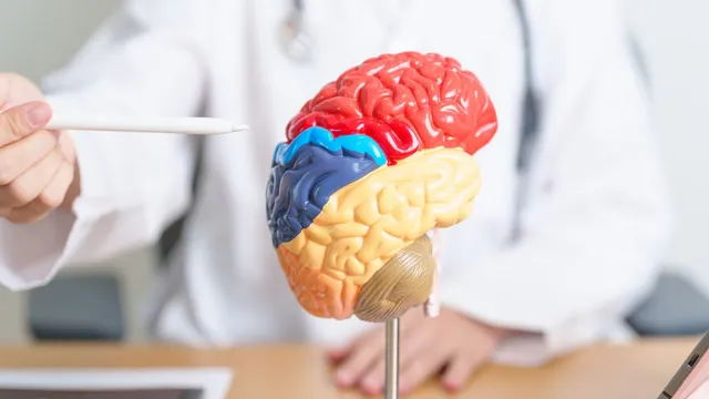 doctor-lists-key-factors-that-can-impact-brain-health