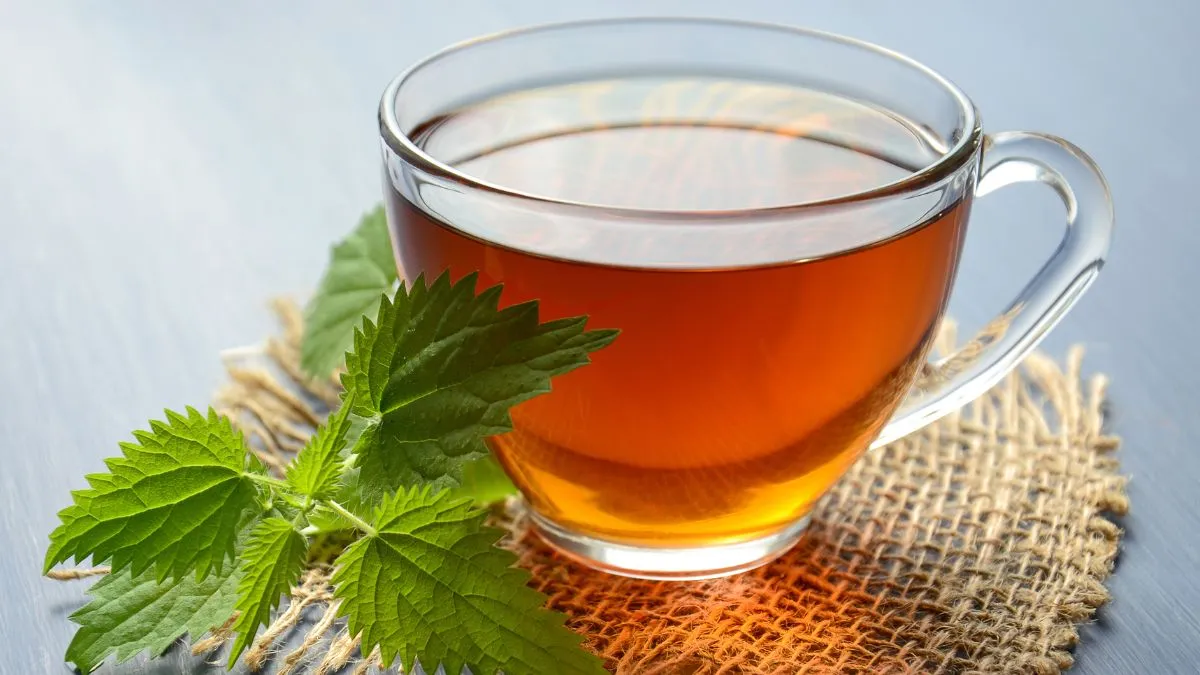 5-healthy-teas-to-include-in-your-diet-to-melt-unwanted-belly-fat