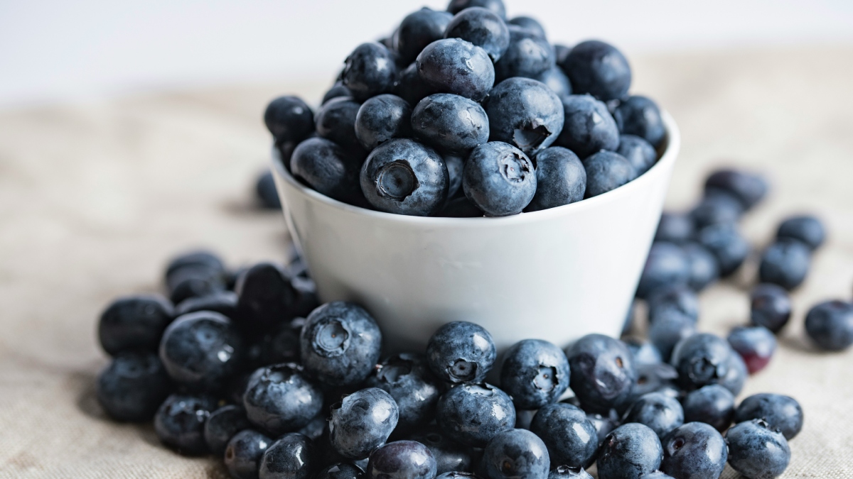 Foods That Help Boost Brain Function During Exam Preparation