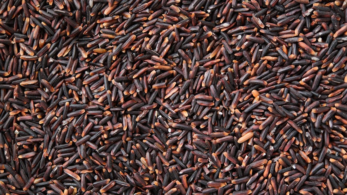 Top 10 Superfoods Indian PM Narendra Modi Eats Black rice