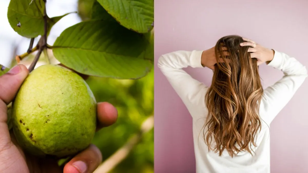 want-long-and-healthy-hair-5-benefits-of-using-guava-leaves-to-achieve-it