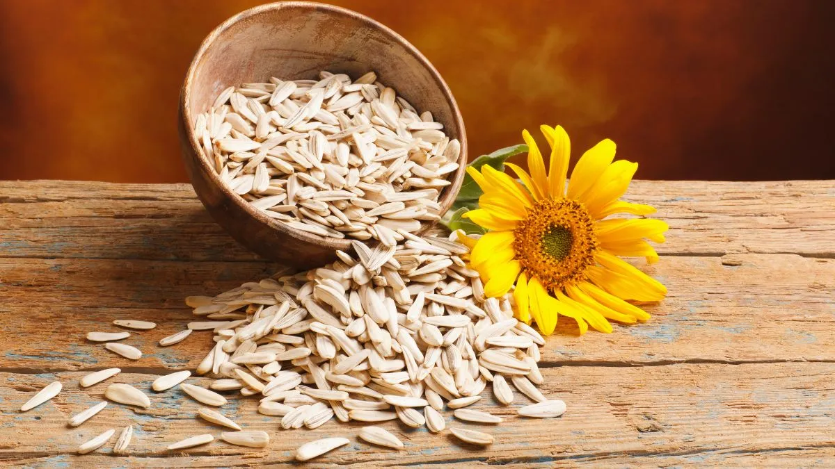 5-seeds-you-should-add-to-your-morning-routine-know-why