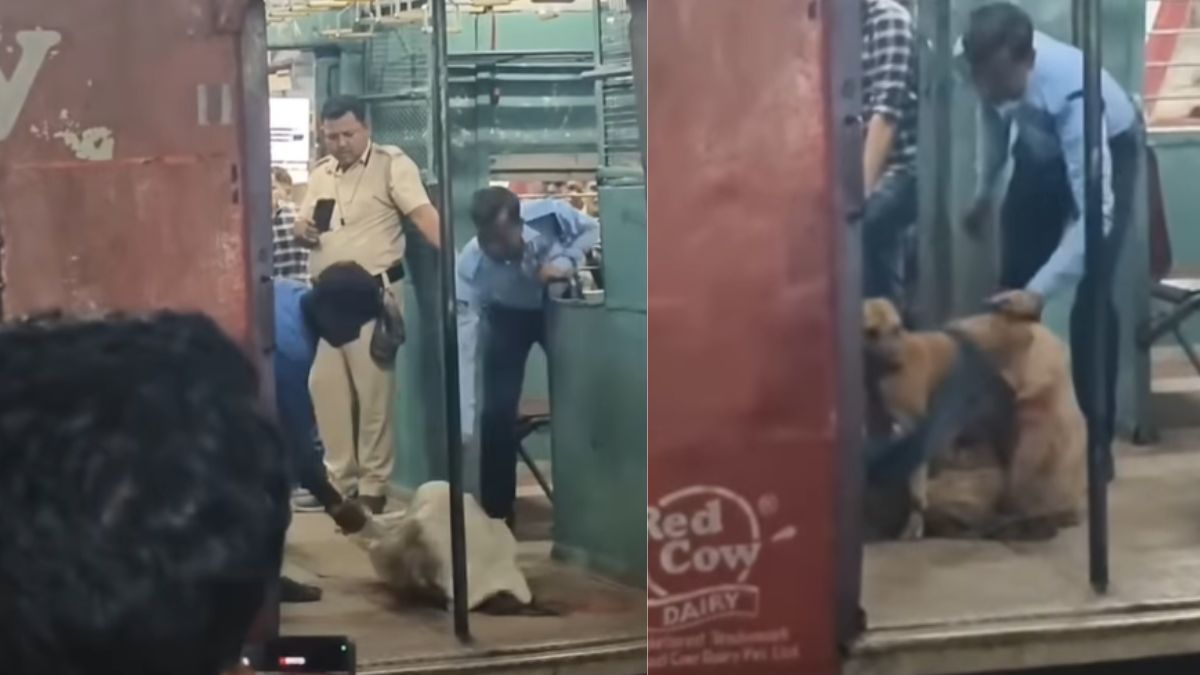 how-cruel-have-humans-become-abandoned-dog-rescued-from-jute-sack-on-kolkata-train-viral-video-sparks-outrage