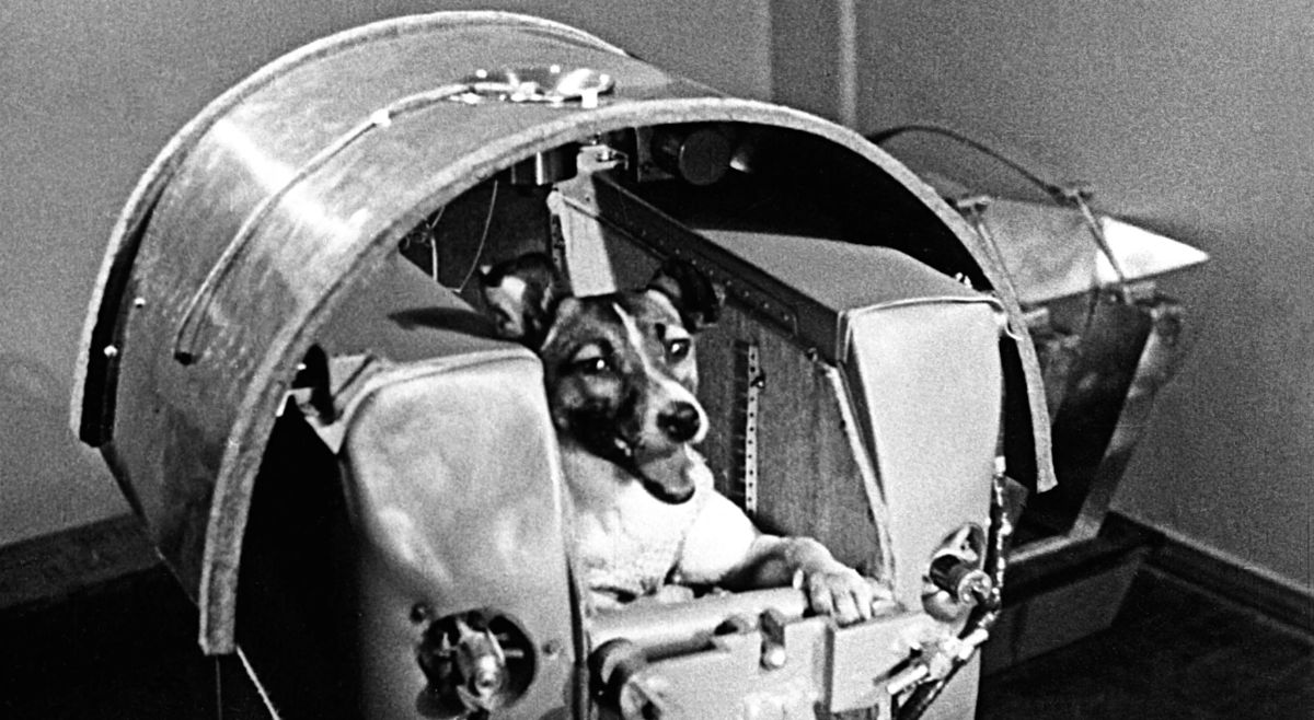 laika Spaceflight