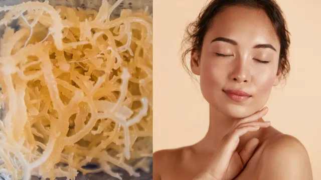 sea-moss-for-skin-5-irish-moss-benefits-that-will-elevate-your-skincare-game