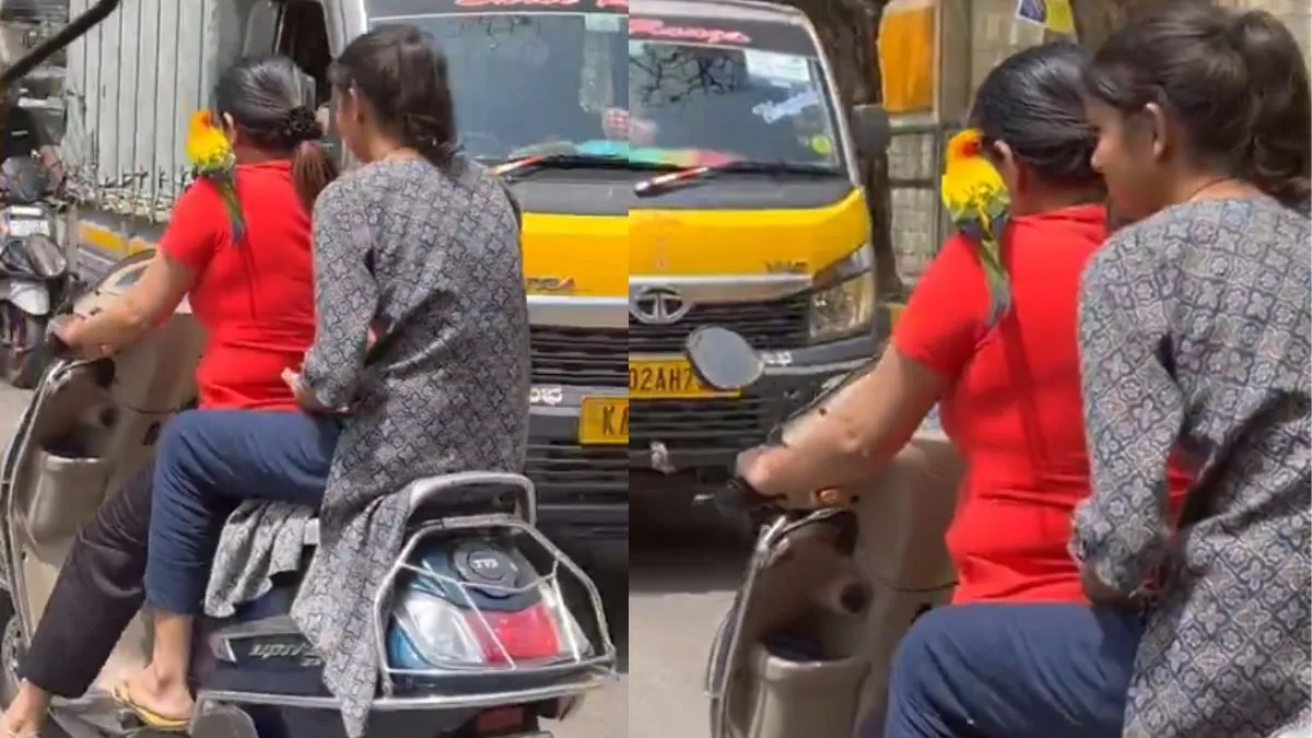 this-is-clearly-peak-moment-video-of-bengaluru-woman-riding-scooter-with-parrot-perched-on-her-shoulder-goes-viral