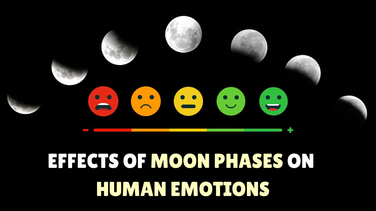 Effects Of The Moon Phases How The Moon Affects Your Mood — Pure