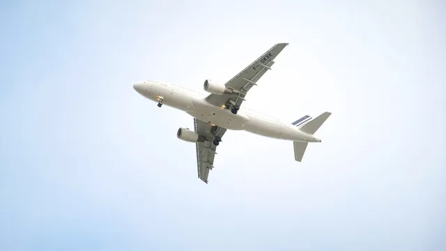 air-india-terminates-trainer-pilot-for-negligence-removes-10-others-trained-by-him