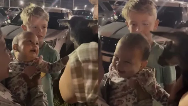 baby-goat-and-human-baby-share-hilarious-laugh-fest-in-viral-video-netizens-dub-them-adorable-duo