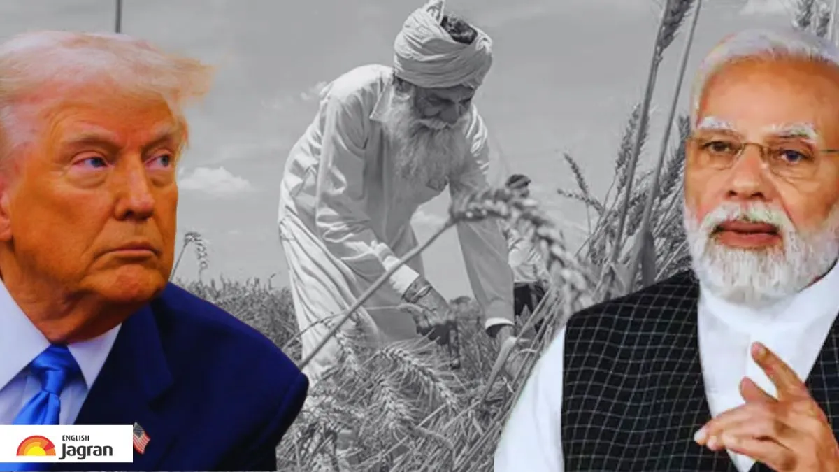 india-us-trade-deal-why-does-us-want-india-to-open-its-agricultural-sector-and-what-are-implications-explained