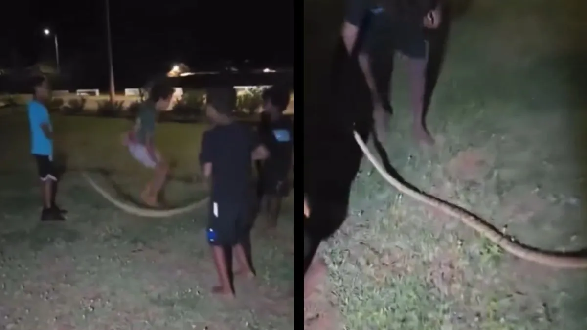 thats-the-most-australian-thing-video-of-kids-using-dead-python-snake-as-skipping-rope-goes-viral-internet-divided