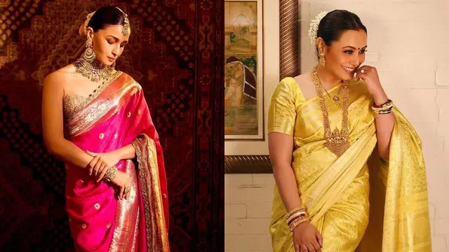 4-diy-ways-to-remove-stains-from-your-kanchipuram-sarees