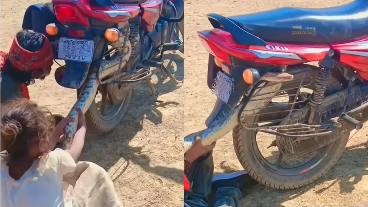 fearless-girl-tries-to-pull-out-snake-from-bike-with-bare-hands-viral-video-shocks-internet