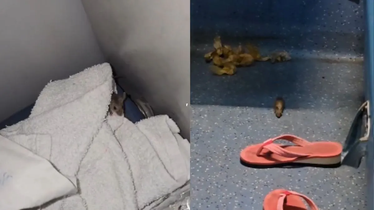 viral-video-rats-crawl-in-ac-coach-of-south-bihar-express-netizens-mock-passenger-with-rac-jokes