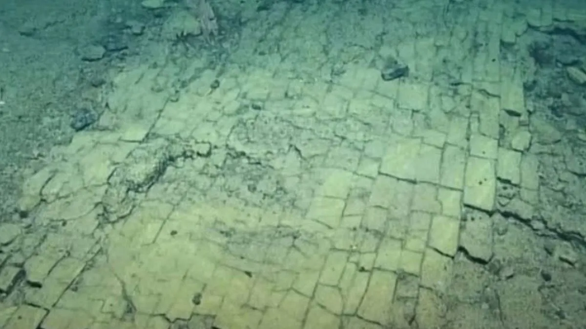 mysterious-yellow-brick-road-found-deep-under-pacific-ocean-scientists-speculate-if-its-path-to