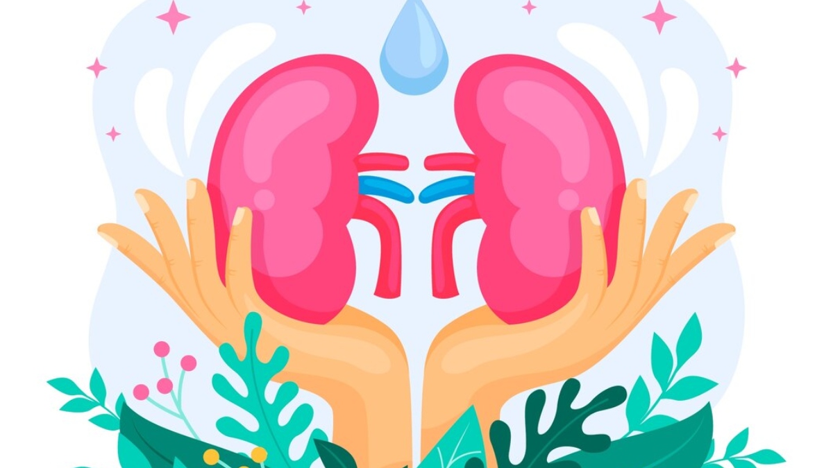 kidney tests