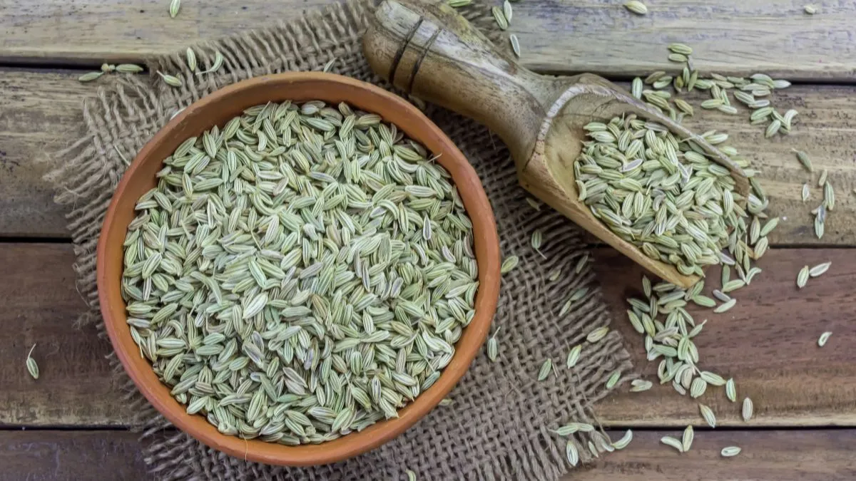 5-reasons-to-chew-1-teaspoon-of-saunf-or-fennel-seeds-daily-after-meals
