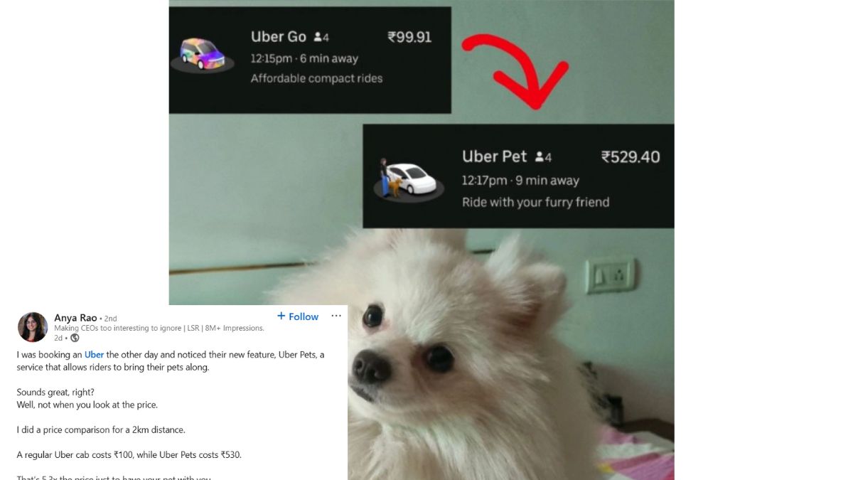 uber-pets-necessity-or-luxury-gurugram-woman-questions-cab-fare-5-times-the-normal