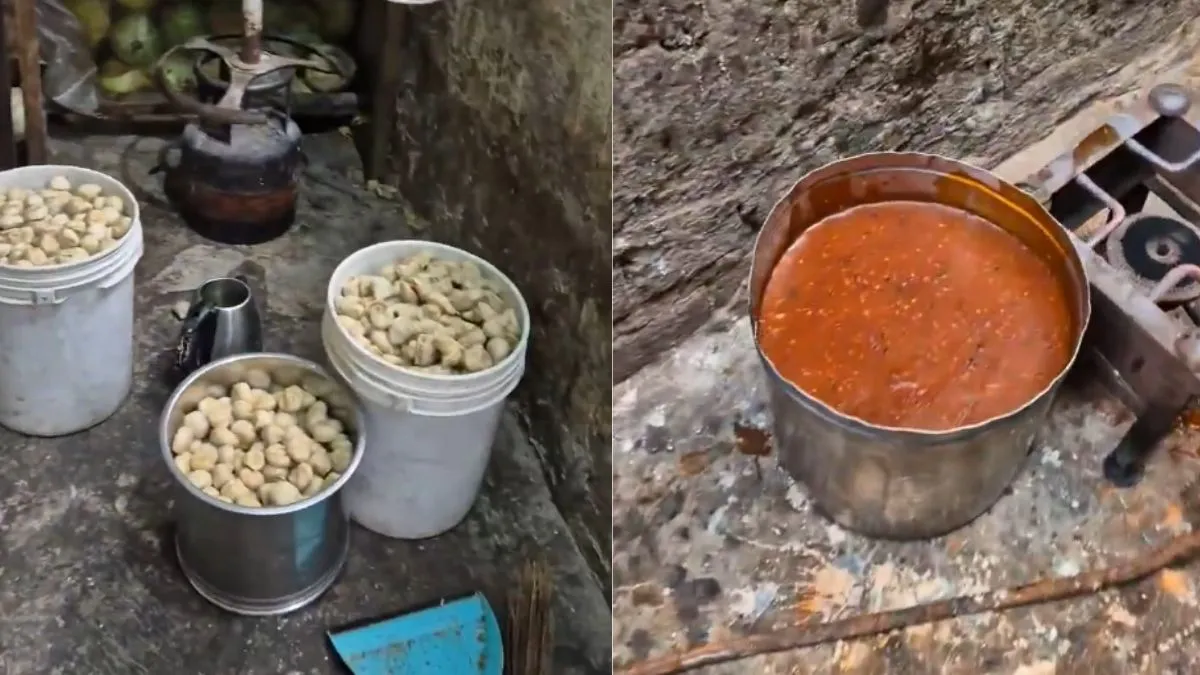maintaining-hygiene-is-expensive-viral-video-from-punjab-reveals-shocking-truth-about-street-momos