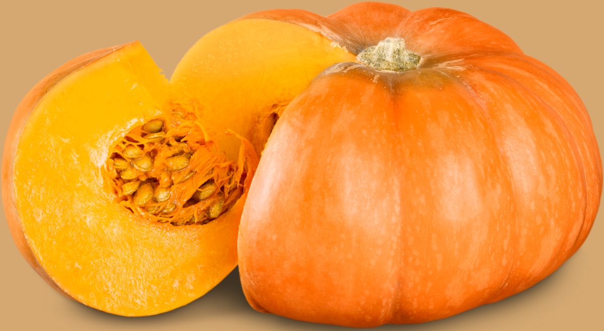 Pumpkin