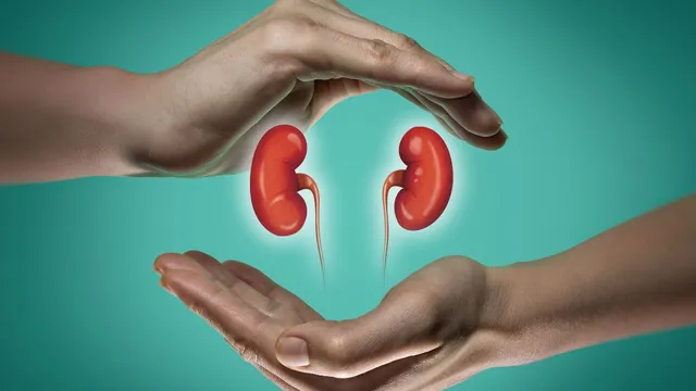 doctor-lists-common-lifestyle-habits-you-should-avoid-immediately-to-keep-your-kidneys-healthy