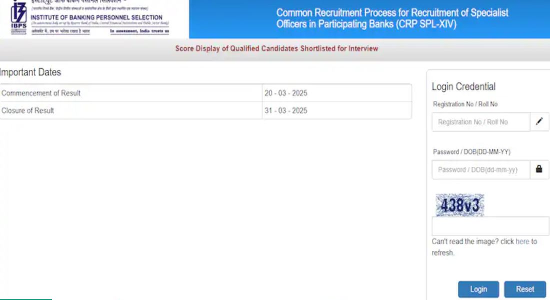 ibps-so-mains-scorecard-2025-released-at-ibpsin-direct-link-to-check-your-scores