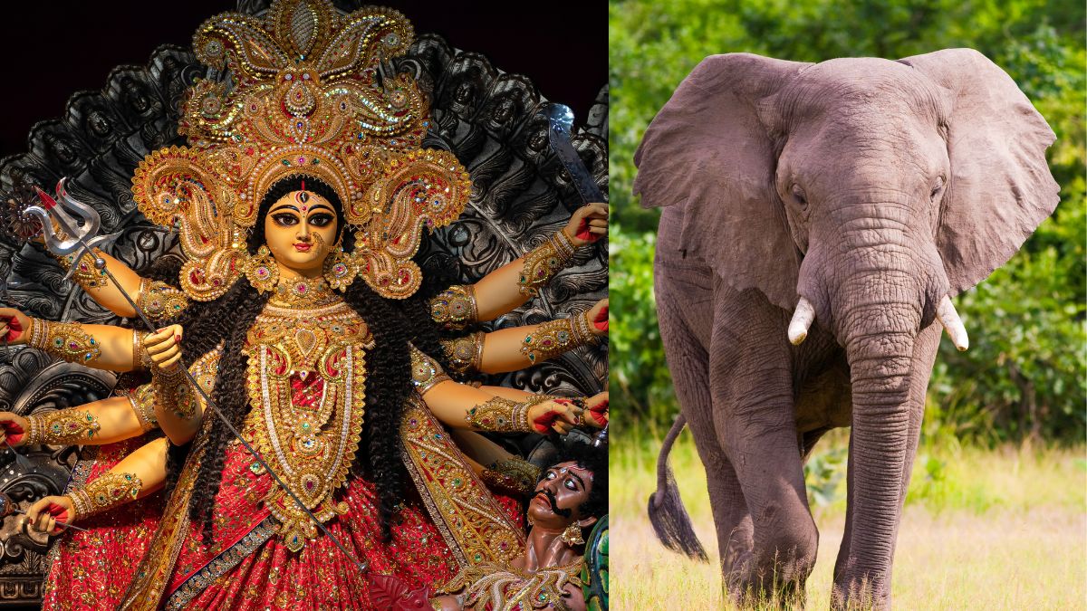 chaitra-navratri-durga-mata-ki-sawatri-2025