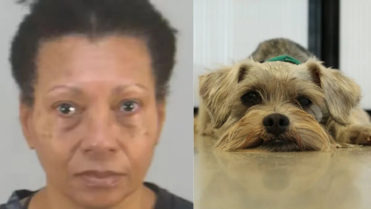 US Shocker: Louisiana Woman Drowns Dog In Airport Bathroom After Being ...