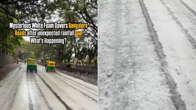 why-is-bangalore-covered-in-white-foam-after-rain-viral-video-sparks-curiosity-watch