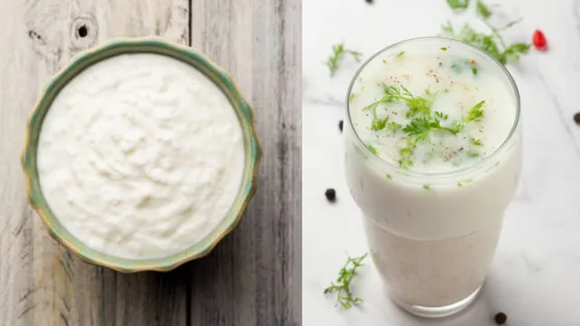 curd-vs-buttermilk-which-is-a-better-choice-for-your-health-during-summer