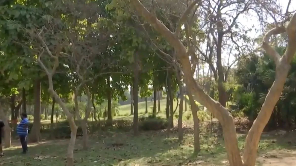 delhi-bodies-of-boy-and-girl-found-hanging-from-tree-in-deer-park-suicide-suspected