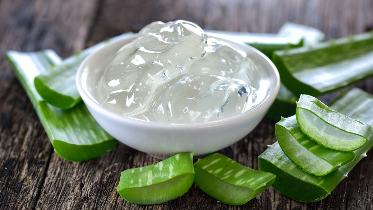 Real Aloe Vera Gel Should Not Have Any Colour Or Odour