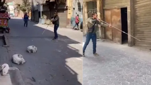 man-uses-blow-darts-to-vaccinate-stray-dogs-in-viral-video-internet-divided-over-unusual-method