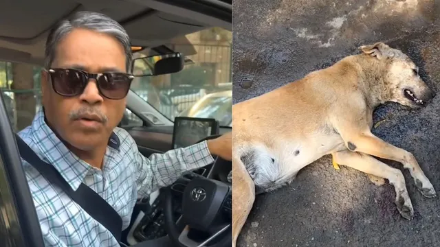 delhi-man-hits-stray-dog-with-car-denies-fault-viral-video-angers-people