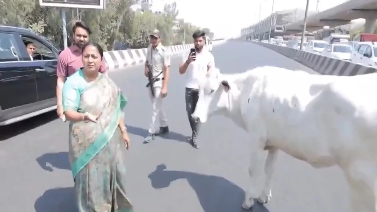 rekha-guptas-prompt-action-delhi-cm-stops-her-convoy-after-spotting-stray-cows-on-shalimar-bagh-flyover-watch