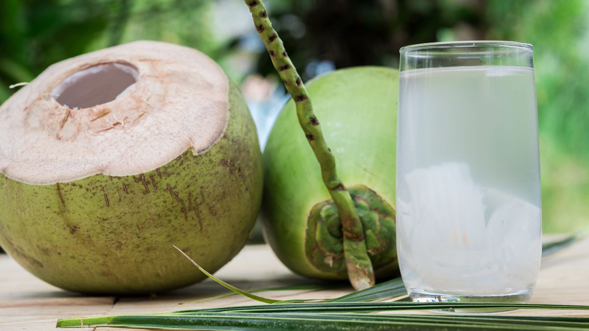 Coconut Water Provides Hydration In Summer