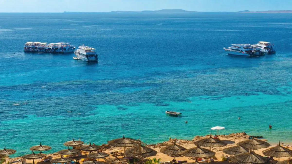 egypt-red-sea-tourist-submarine-sinks-with-44-peoople-onboard-at-least-six-dead-updates