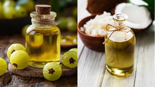 amla-oil-vs-coconut-oil-which-is-the-best-choice-to-boost-quick-hair-growth