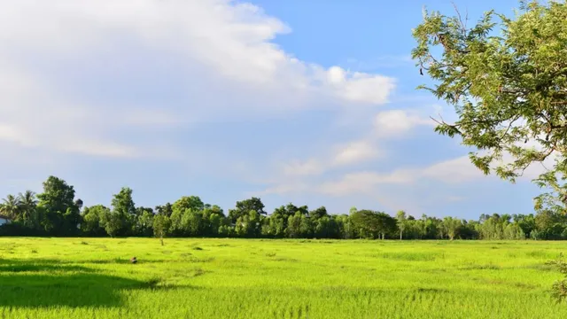 land-purchase-loan-how-to-buy-land-in-india-check-eligibility-interest-rates-and-more-explained