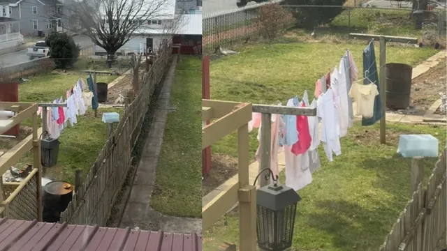 backyard-clothesline-in-usa-sparks-debate-after-going-viral-whats-wrong-with-hanging-out-laundry