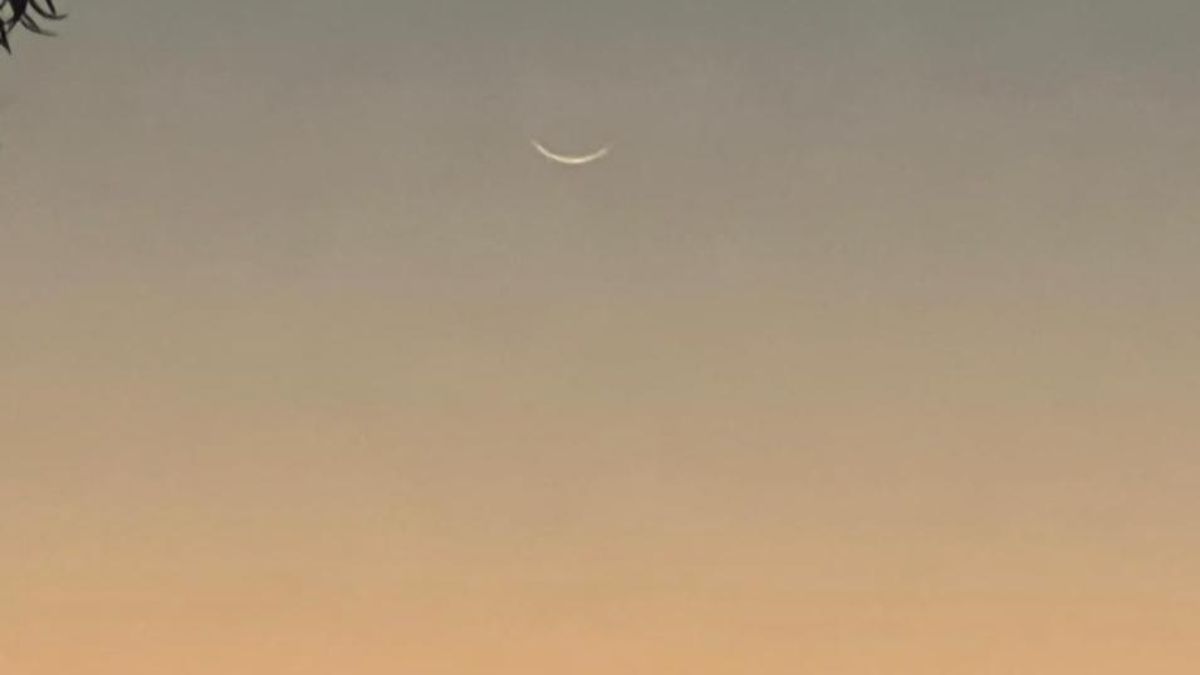 moonindelhi
