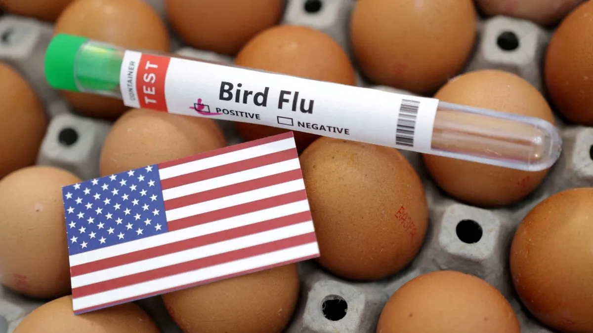 egg-prices-at-all-time-high-in-us-due-to-bird-flu-america-turns-to-europe-for-relief-as-consumers-struggle