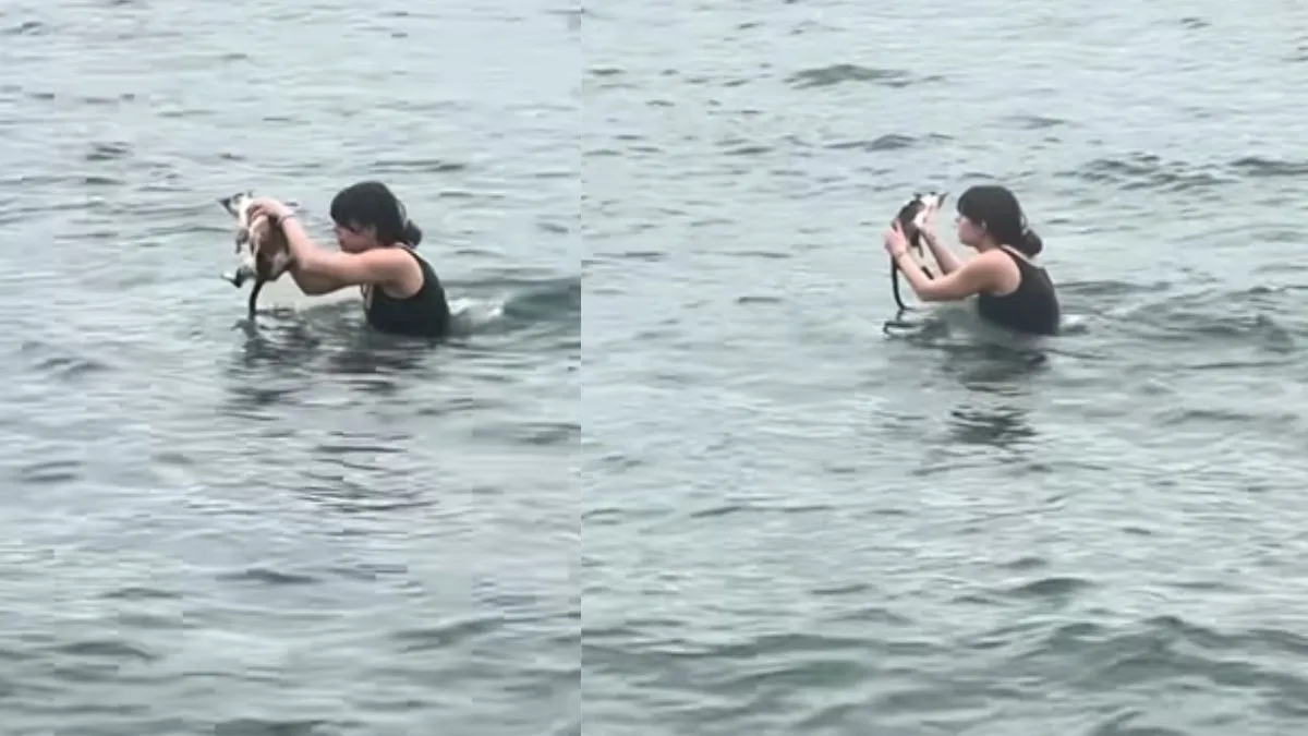 brave-woman-jumps-into-water-to-rescue-drowning-kitten-in-viral-video-she-is-an-angel