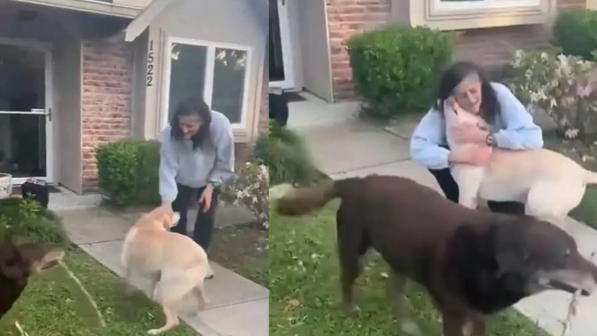 sunita-williams-emotional-reunion-with-her-dogs-after-space-mission-wins-hearts-watch-viral-video