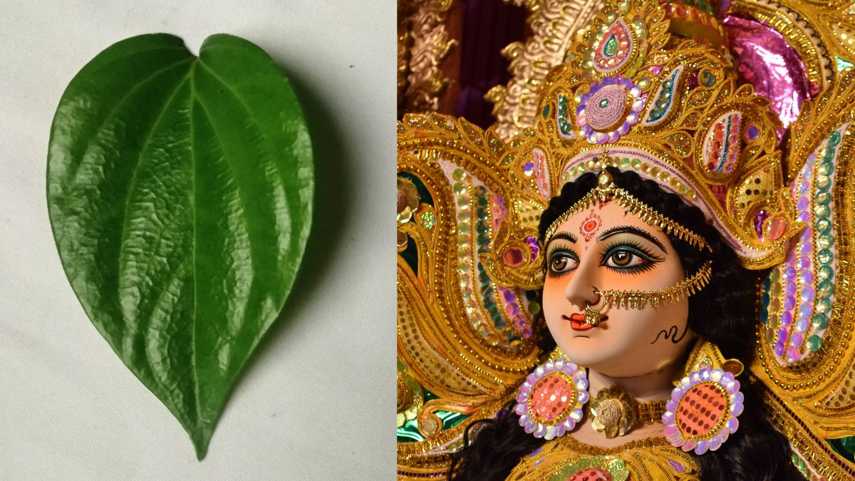 chaitra-navratri-2025-remedies